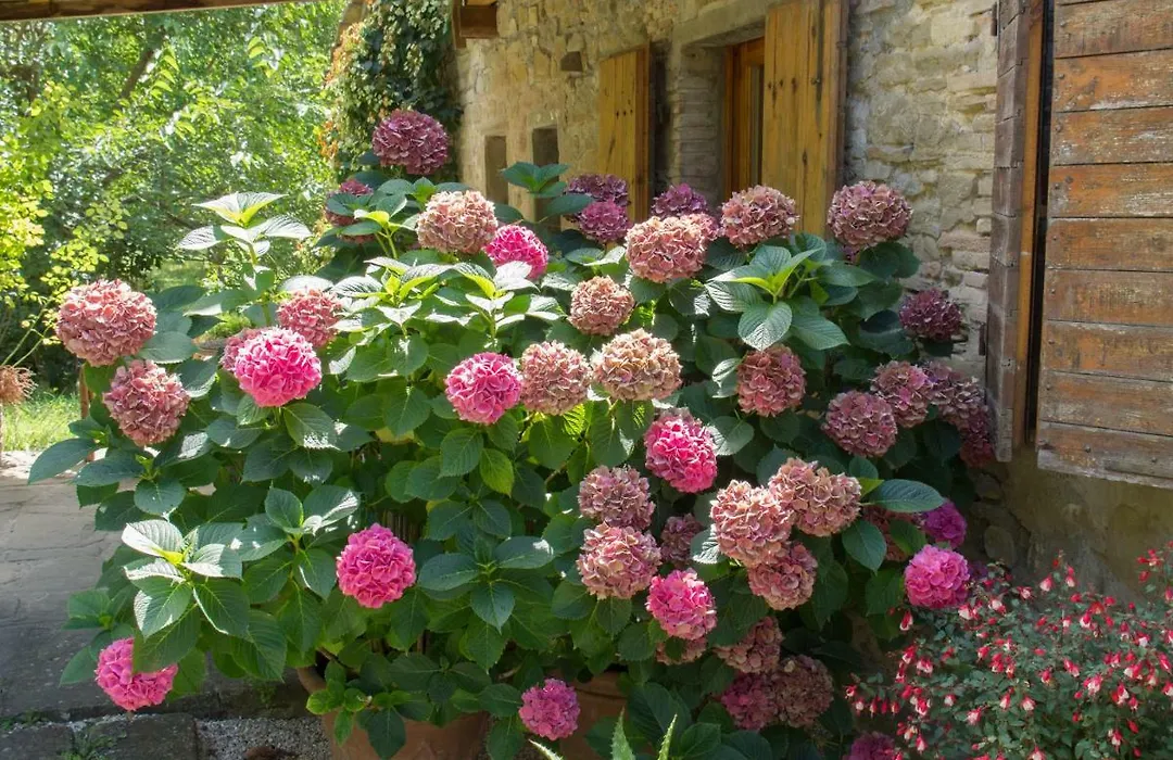 Casa La Valle, Gubbio, Frazione Santa Cristina-1